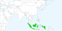Indonesia's stocks supported Chartoasis Chili