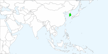 South Korea's stocks supported Chartoasis Chili