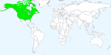 Supported countries in North America