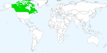 Canada's stocks supported Chartoasis Chili